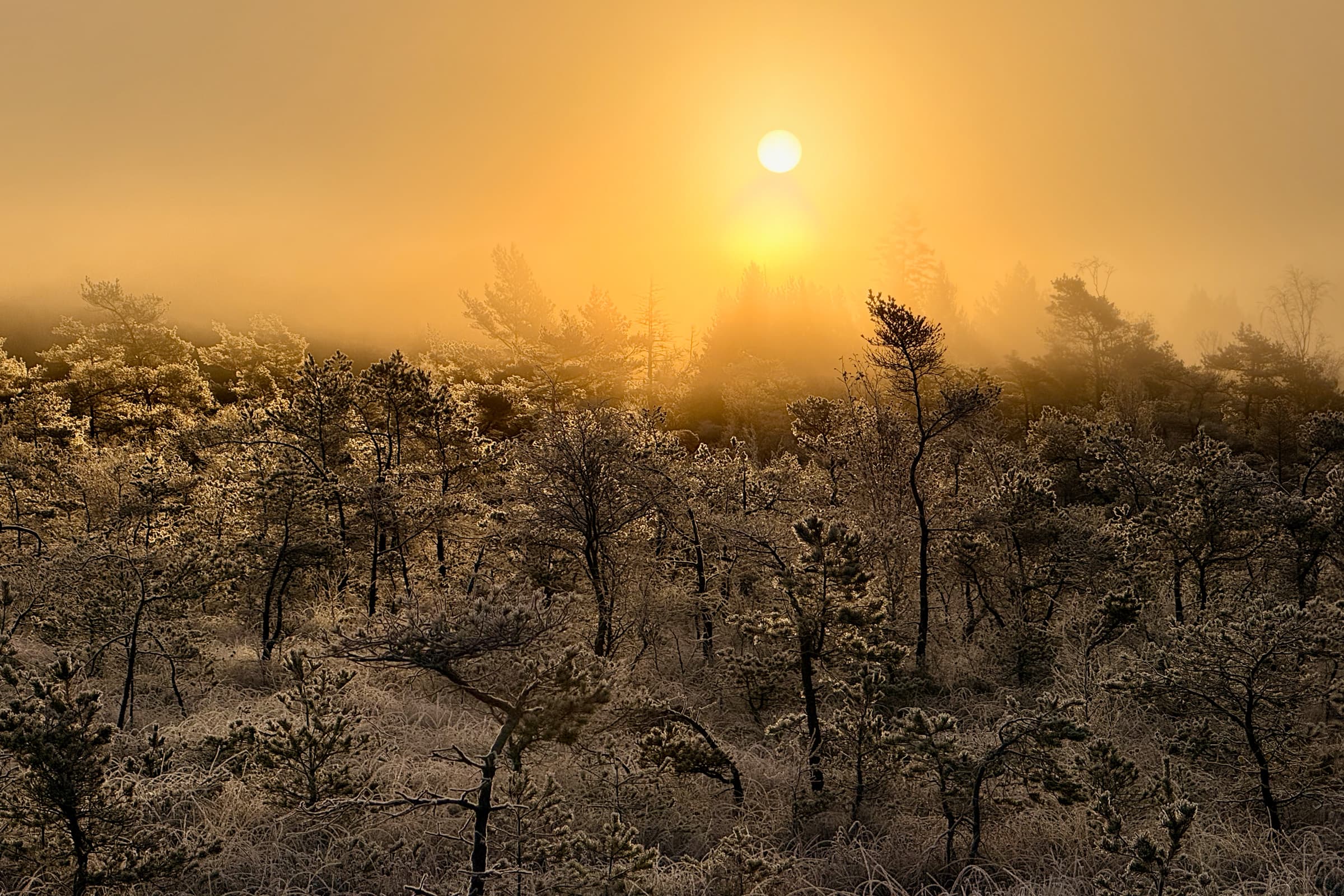 Winter is starting to set in.